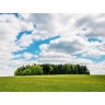CALVENDO Puzzle CALVENDO Puzzle Wiesenlandschaft Пазл CALVENDO Puzzle Луговой пейзаж
