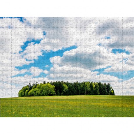 CALVENDO Puzzle CALVENDO Puzzle Wiesenlandschaft Пазл CALVENDO Puzzle Луговой пейзаж