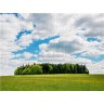 CALVENDO Puzzle CALVENDO Puzzle Wiesenlandschaft Пазл CALVENDO Puzzle Луговой пейзаж