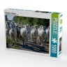 CALVENDO Puzzle CALVENDO Puzzle Camargue auf Wegen Пазл CALVENDO Пазл Камарг на дорожках