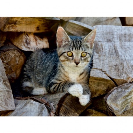 CALVENDO Puzzle CALVENDO Puzzle Niedliches junges Katzchen auf einem Holzstapel Пазл CALVENDO Puzzle Милый котенок на куче дров