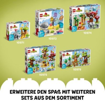 LEGO LEGO DUPLO 10973 Wilde Tiere Sudamerikas LEGO DUPLO 10973 Дикие животные Южной Америки
