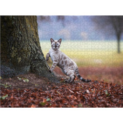 CALVENDO Puzzle CALVENDO Puzzle Bengalkater beim Waldspaziergang Пазл CALVENDO Puzzle Бенгальский кот на прогулке в лесу