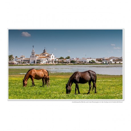 CALVENDO Puzzle CALVENDO Puzzle Emotionale Momente: El Rocio – Spaniens weltberuhmter Wallfahrtsort. Пазл CALVENDO Puzzle Эмоциональные моменты: Эль-Росио – всемирно известное место паломничества в Испании.