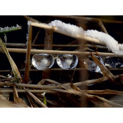 CALVENDO Puzzle CALVENDO Puzzle Eisige Perlen im Otterbachtal Пазл CALVENDO Puzzle Ледяные жемчужины в долине Оттербах