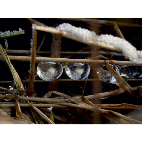 CALVENDO Puzzle CALVENDO Puzzle Eisige Perlen im Otterbachtal Пазл CALVENDO Puzzle Ледяные жемчужины в долине Оттербах