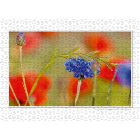 CALVENDO Puzzle CALVENDO Puzzle Emotionale Momente: Die Blumenwiese. \/ CH-Version Пазл CALVENDO Пазл Эмоциональные моменты: Цветочная поляна. \/ версия CH