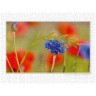 CALVENDO Puzzle CALVENDO Puzzle Emotionale Momente: Die Blumenwiese. \/ CH-Version Пазл CALVENDO Пазл Эмоциональные моменты: Цветочная поляна. \/ версия CH
