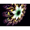 CALVENDO Puzzle CALVENDO Puzzle Blumen Пазл CALVENDO Пазл цветы