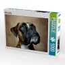 CALVENDO Puzzle CALVENDO Puzzle Nelly Пазл CALVENDO Пазл Нелли