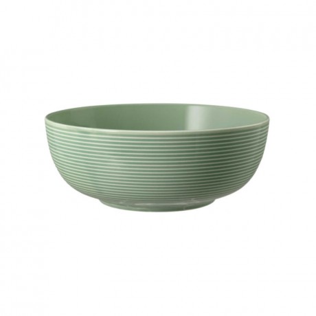 Seltmann Weiden Seltmann Weiden Beat Salbeigrun Foodbowl Schale 20 cm Seltmann Weiden Зеленая миска Beat sage 20 см