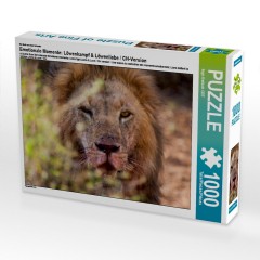 CALVENDO Puzzle CALVENDO Puzzle Emotionale Momente: Lowenkampf  Lowenliebe \/ CH-Version Пазл CALVENDO Puzzle Эмоциональные моменты: бой льва лев любовь / версия CH
