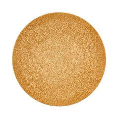 Seltmann Weiden Seltmann Weiden Life Molecule Amber Gold Speiseteller 28 cm Seltmann Weiden Life Molecule Янтарная Золотая тарелка 28 см