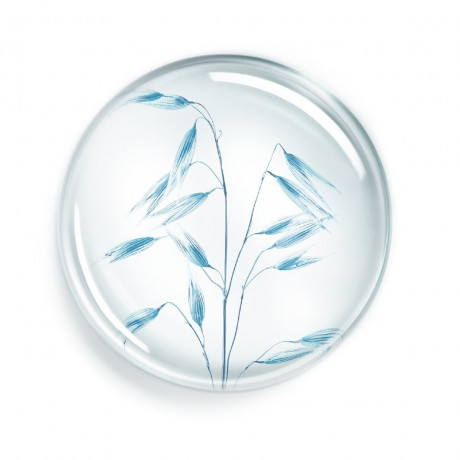 Annayake Soin corps hydratation continue  Гидратация корпуса Soin продолжается