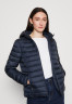 Tommy Hilfiger PADDED GLOBAL STRIPE JACKET Light jacket desert sky УТЕПЛЕННАЯ КУРТКА GLOBAL STRIPE JACKET Легкая куртка небо пустыни