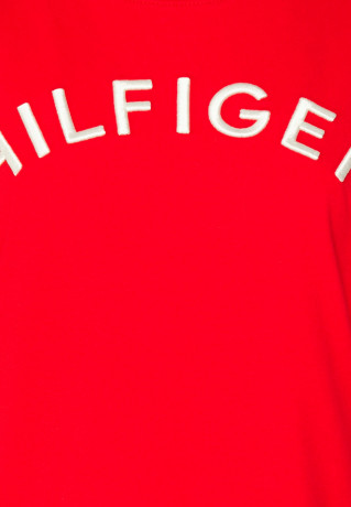 Tommy Hilfiger REG VARSITY EMB C-NK SS Print T-shirt fireworks REG VARSITY EMB C-NK SS Футболка с принтом салют