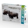 CALVENDO Puzzle CALVENDO Puzzle Bisons am Blacktail Plateau Пазл CALVENDO Puzzle Бизон на плато Блэктейл