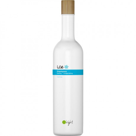 O'right Men Serie Ice Shampoo Шампунь для мужчин, 400 мл