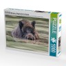 CALVENDO Puzzle CALVENDO Puzzle Emotionale Momente: Wildschweine im Wasser Пазл CALVENDO Puzzle Эмоциональные моменты: Кабан в воде