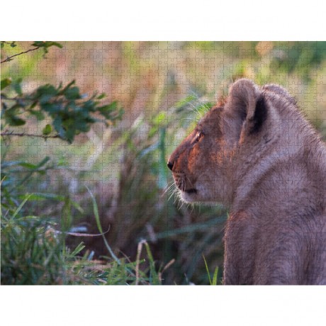 CALVENDO Puzzle CALVENDO Puzzle Emotionale Momente: Lowengesichter Пазл CALVENDO Puzzle Эмоциональные моменты: львиные морды