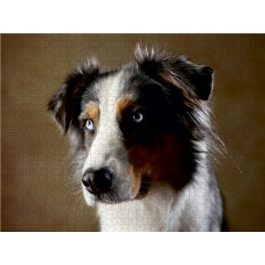 CALVENDO Puzzle CALVENDO Puzzle Dakota Пазл CALVENDO Пазл Дакота