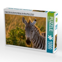 CALVENDO Puzzle CALVENDO Puzzle Junges Zebra bei Sonnenaufgang in der Masai Mara in Kenia Пазл CALVENDO Puzzle Молодая зебра на рассвете в Масаи Мара в Кении