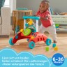 Mattel Fisher-Price Steady Speed 2-Sided Walker (Car) 2-сторонний ходок Fisher-Price Steady Speed ??(автомобиль)