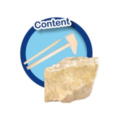 SES Creative T-Rex ausgraben (Ausgrabungsset) Excavate T-Rex (набор для раскопок)