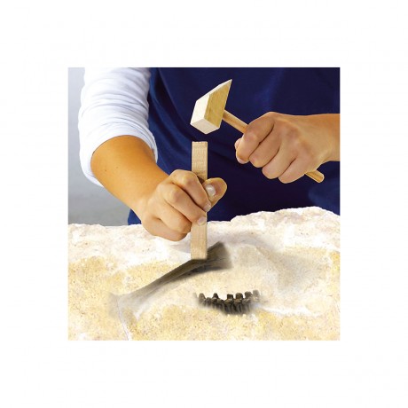 SES Creative T-Rex ausgraben (Ausgrabungsset) Excavate T-Rex (набор для раскопок)