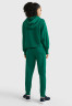 Tommy Hilfiger CUFFED Tracksuit bottoms prep green CUFFED Низ спортивного костюма подготовка зеленый