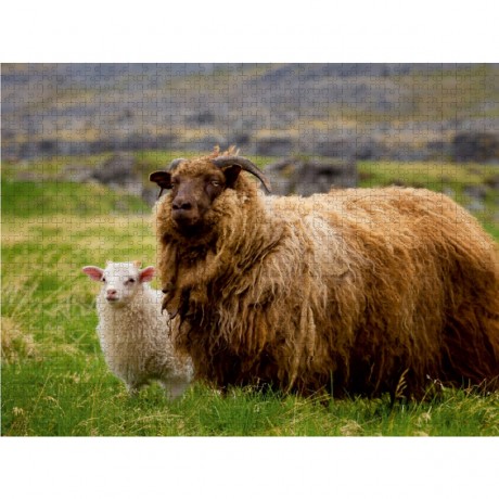 CALVENDO Puzzle CALVENDO Puzzle Beautiful Nature Пазл CALVENDO Puzzle Красивая Природа