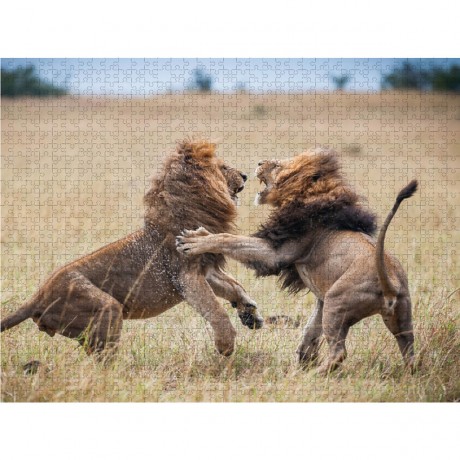 CALVENDO Puzzle CALVENDO Puzzle Emotional Moments: Big Cats of the World \/ UK-Version Пазл CALVENDO Puzzle Emotional Moments: Big Cats of the World / UK version