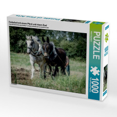 CALVENDO Puzzle CALVENDO Puzzle Feldarbeit mit einem Pferd und einem Esel Пазл CALVENDO Puzzle Полевые работы с лошадью и ослом
