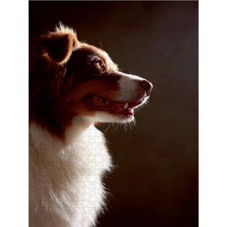 CALVENDO Puzzle CALVENDO Puzzle Bones Пазл CALVENDO Puzzle Bones