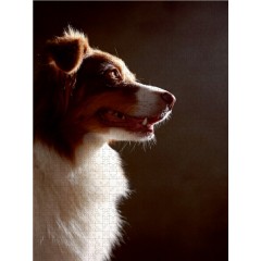 CALVENDO Puzzle CALVENDO Puzzle Bones Пазл CALVENDO Puzzle Bones