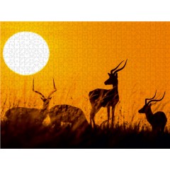 CALVENDO Puzzle CALVENDO Puzzle Impalabocke bei Sonnenaufgang in der Masai Mara in Kenia Пазл CALVENDO Пазл Импала козы на рассвете в Масаи Мара в Кении