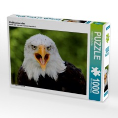 CALVENDO Puzzle CALVENDO Puzzle Weisskopfseeadler Пазл CALVENDO Пазл белоголовый орлан
