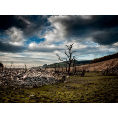 CALVENDO Puzzle CALVENDO Puzzle Das verschlungene Dorf Пазл CALVENDO Puzzle Переплетённая деревня