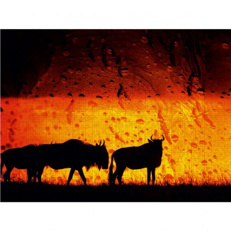 CALVENDO Puzzle CALVENDO Puzzle Emotionale Momente: African Dreams Пазл CALVENDO Puzzle Emotional Moments: African Dreams