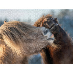 CALVENDO Puzzle CALVENDO Puzzle Auch imn Winter sind die Hengste zartlich zueinander. Пазл CALVENDO Puzzle Даже зимой жеребцы нежно относятся друг к другу.