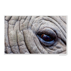 CALVENDO Puzzle CALVENDO Puzzle Emotional Moments: Die Augen der Tiere. Пазл CALVENDO Puzzle Emotional Moments: Глаза животных.