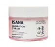 Isana Korean Skincare Hydration cream, Увлажняющий крем Korean Skincare Cica & Panthenol, 50 мл