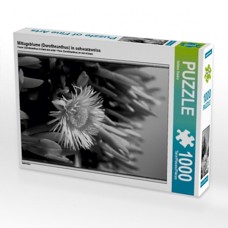 CALVENDO Puzzle CALVENDO Puzzle Mittagsblume (Dorotheanthus) in schwarzweiss Пазл CALVENDO Пазл ледяное растение (Dorotheanthus) в черно-белом цвете