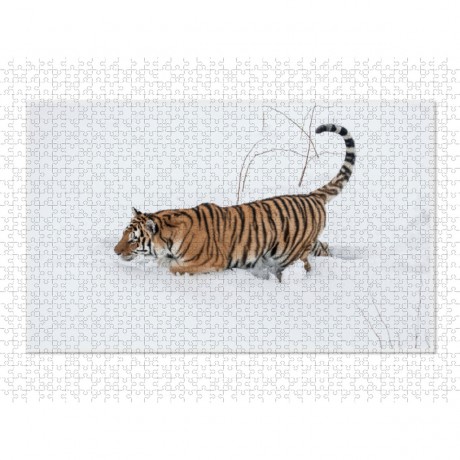 CALVENDO Puzzle CALVENDO Puzzle Emotionale Momente: Tiger Пазл CALVENDO Puzzle Эмоциональные моменты: тигр