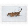 CALVENDO Puzzle CALVENDO Puzzle Emotionale Momente: Tiger Пазл CALVENDO Puzzle Эмоциональные моменты: тигр