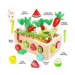Vetaka Steckspiel Holzspielzeug Karotte Fruchte fur Kinder Привязка игры деревянная игрушка морковь фрукты для детей