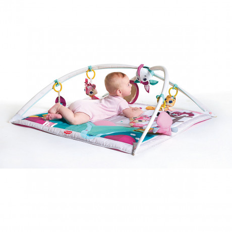 Tiny Love Gymini Deluxe (Tiny Princess) Джимини Делюкс (Маленькая принцесса)