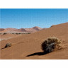 CALVENDO Puzzle CALVENDO Puzzle Namib-Wuste Пазл CALVENDO Пазл Пустыня Намиб