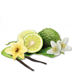 Schwarzkopf Professional Purifying Shampoo  Очищающий шампунь