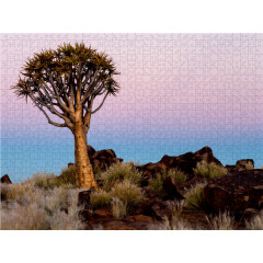 CALVENDO Puzzle CALVENDO Puzzle Kocherbaum in Namibia Пазл CALVENDO Puzzle Kocherbaum в Намибии